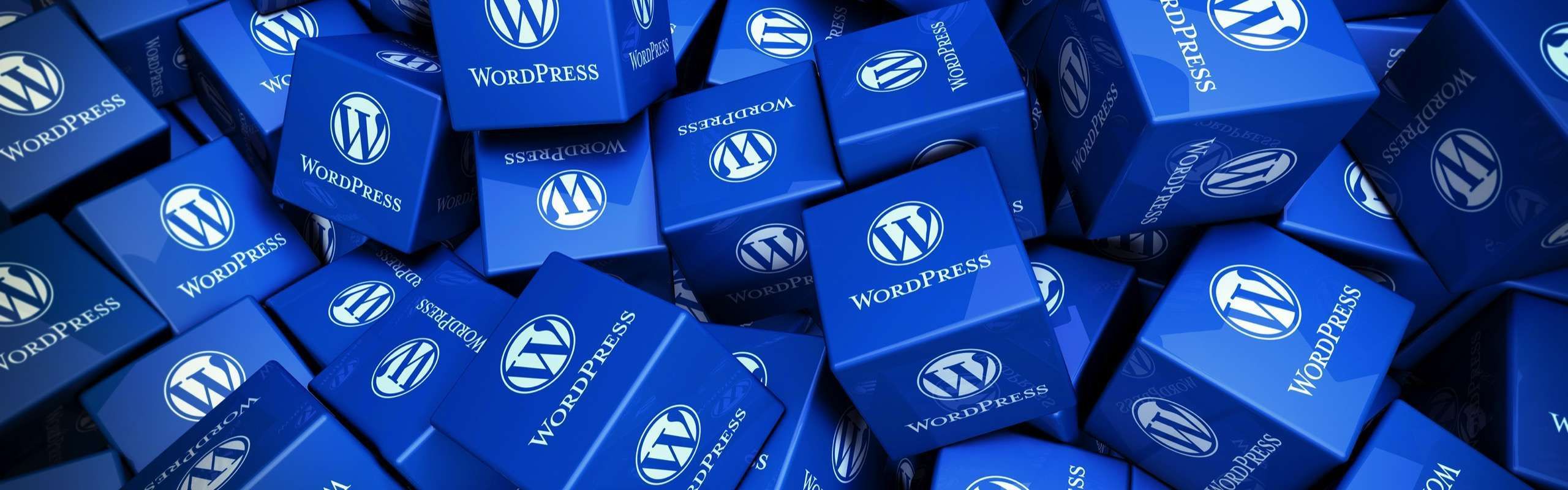 The State of WordPress: Flourishing in the Digital Landscape