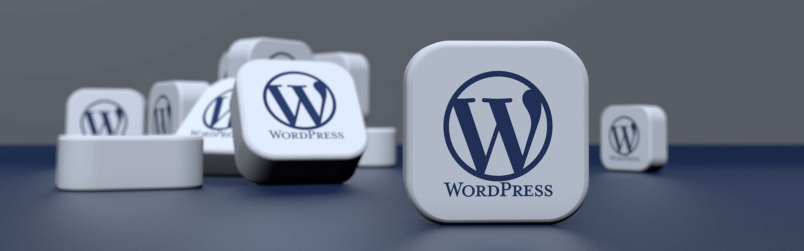 Understanding WordPress: A Comprehensive Overview